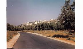 قرية شعب المهجرة  / عكا